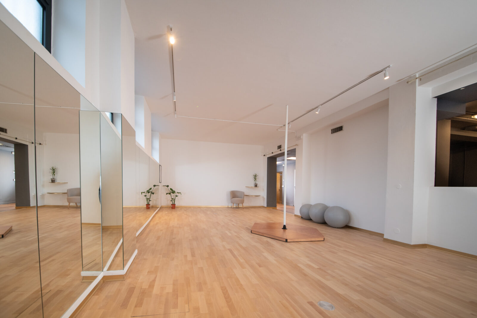 Sala per Pole Dance a Milano attrezzata per professionisti